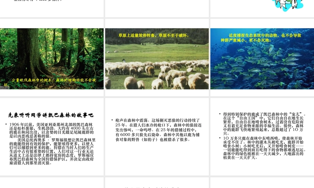 八年级生物下册 23.4《生态系统的稳定性》课件2 （新版）北师大版-（新版）北师大级下册生物课件