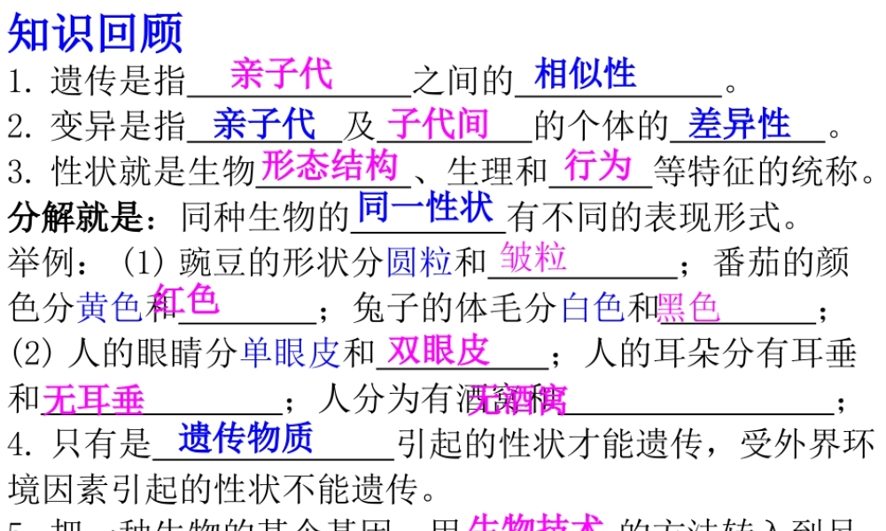 八年级生物下册 7.2.2基因在亲子代间的传递课件 （新版）新人教版-（新版）新人教版初中八年级下册生物课件