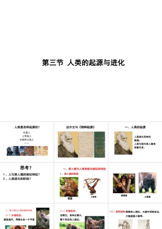 八年级生物下册 21.3《人类的起源和进化》课件 （新版）北师大版-（新版）北师大版初中八年级下册生物课件