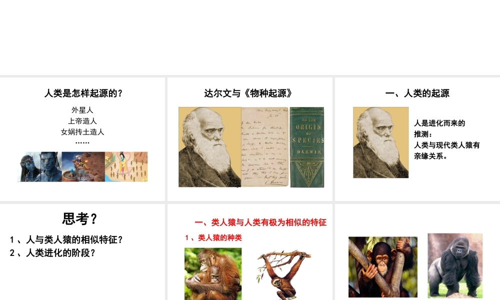 八年级生物下册 21.3《人类的起源和进化》课件 （新版）北师大版-（新版）北师大级下册生物课件