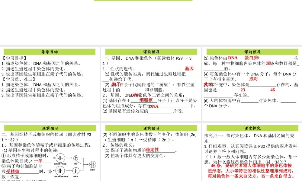 八年级生物下册 7.2.2基因在亲子代间的传递课件（新版）新人教版-（新版）新人教级下册生物课件
