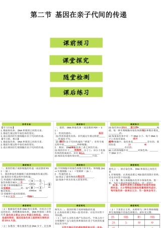 八年级生物下册 7.2.2基因在亲子代间的传递课件（新版）新人教版-（新版）新人教级下册生物课件