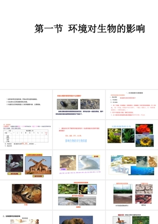 八年级生物下册 7.1.1 环境对生物的影响课件 （新版）冀教版-（新版）冀教版初中八年级下册生物课件