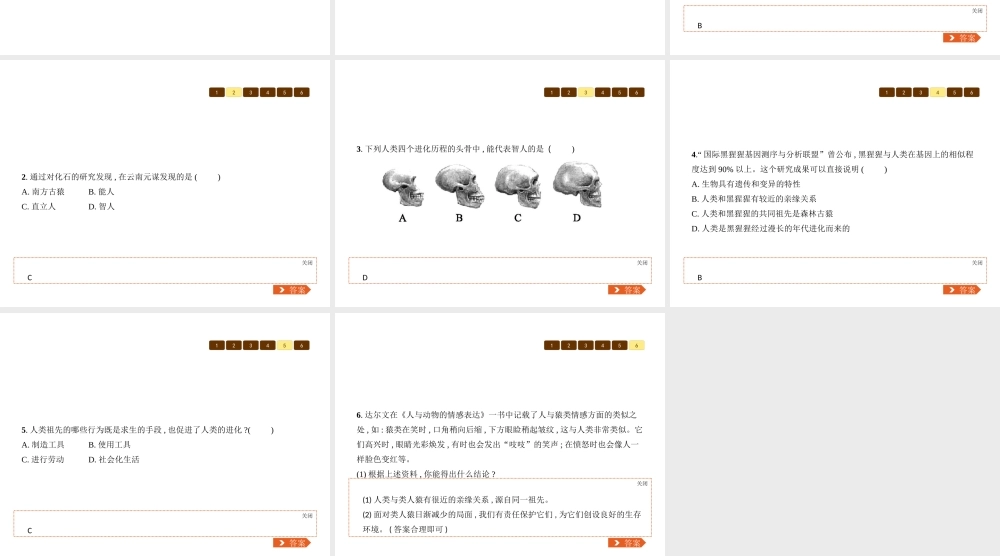 八年级生物下册 21.3人类的起源与进化课件 （新版）北师大版-（新版）北师大版初中八年级下册生物课件