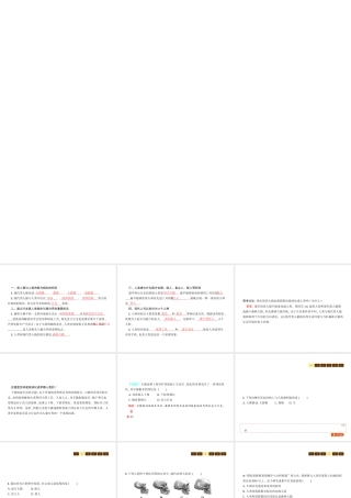 八年级生物下册 21.3人类的起源与进化课件 （新版）北师大版-（新版）北师大版初中八年级下册生物课件
