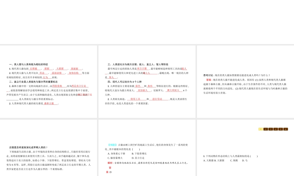 八年级生物下册 21.3人类的起源与进化课件 （新版）北师大版-（新版）北师大级下册生物课件