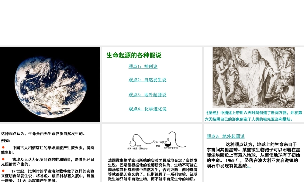 八年级生物下册 7.3.1地球上生命的起源课件3 （新版）新人教版