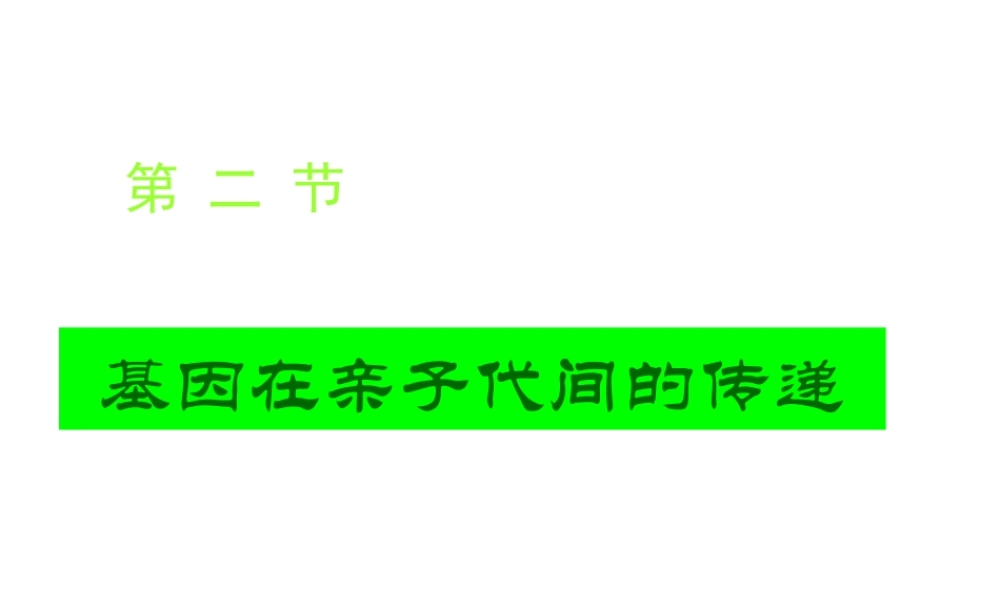 八年级生物下册 7.2.2基因在亲子代间的传递课件2 （新版）新人教版-（新版）新人教版初中八年级下册生物课件