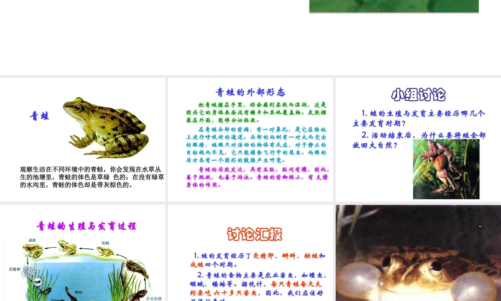 八年级生物下册 21.4 两栖类的生殖和发育课件 （新版）苏教版-（新版）苏教级下册生物课件