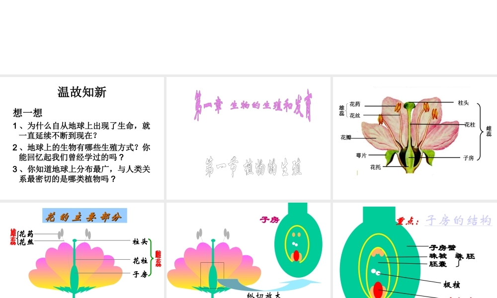 八年级生物下册 7.1.1 植物的生殖（第1课时）课件 （新版）新人教版-（新版）新人教级下册生物课件