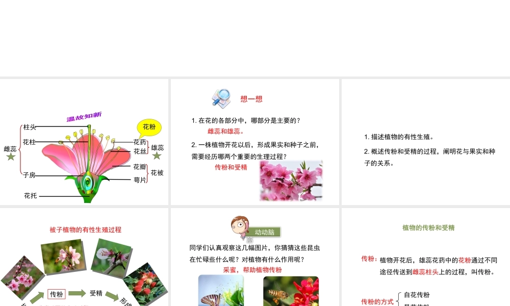 八年级生物下册 8.21.2《植物的有性生殖》（第1课时）课件 苏教版-苏教版初中八年级下册生物课件