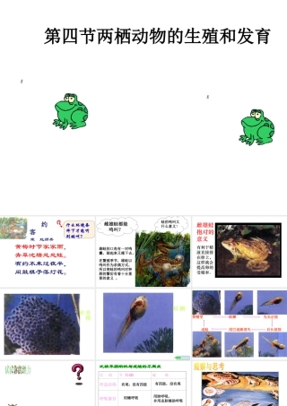 八年级生物下册 21.4 两栖类的生殖与发育课件 （新版）苏教版-（新版）苏教版初中八年级下册生物课件