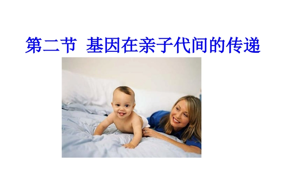 八年级生物下册 7.2.2基因在亲子代间的传递课件3 （新版）新人教版-（新版）新人教版初中八年级下册生物课件