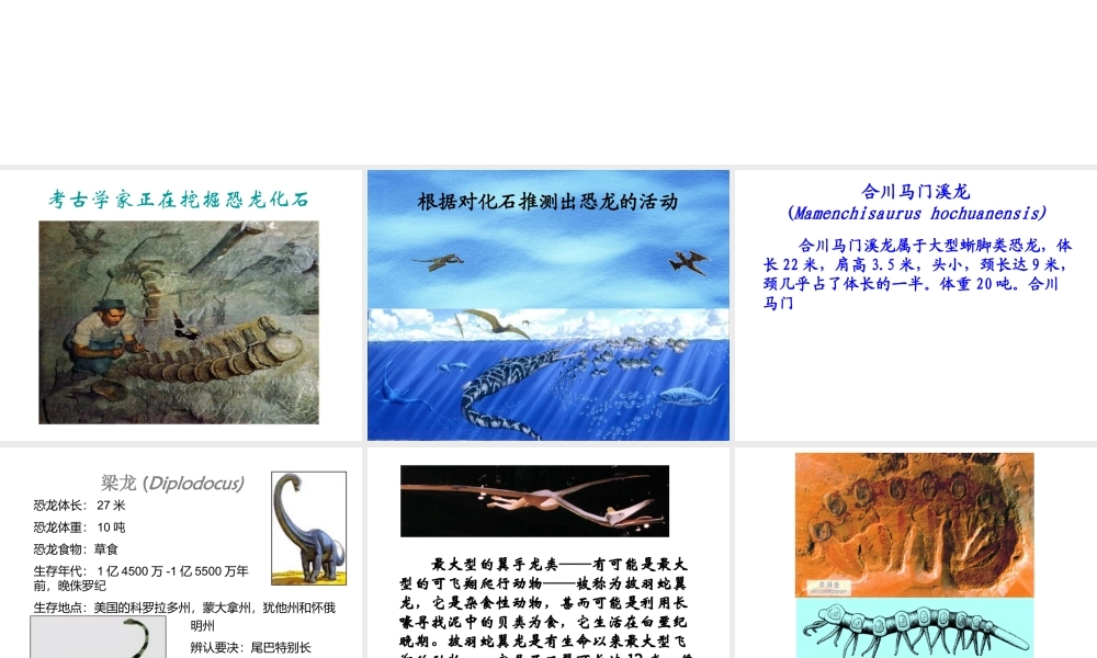 八年级生物下册 7.3.2 第二节 生物进化的历程课件1 （新版）新人教版