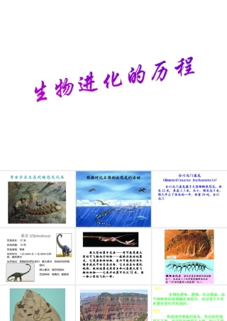 八年级生物下册 7.3.2 第二节 生物进化的历程课件1 （新版）新人教版