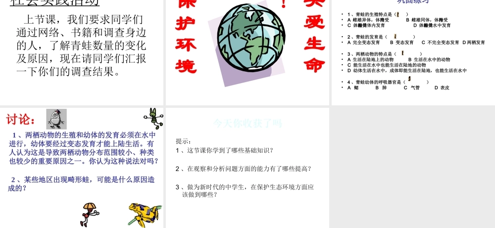 八年级生物下册 21.4 两栖类的生殖与发育课件 （新版）苏教版-（新版）苏教级下册生物课件