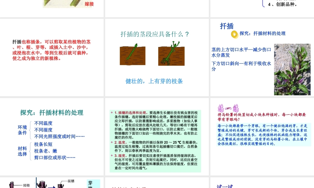 八年级生物下册 7.1.1 植物的生殖（第2课时）课件 （新版）新人教版-（新版）新人教级下册生物课件