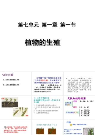 八年级生物下册 7.1.1 植物的生殖（第2课时）课件 （新版）新人教版-（新版）新人教级下册生物课件