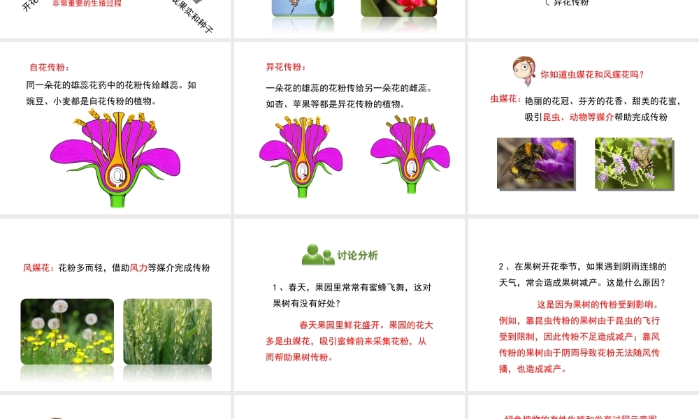 八年级生物下册 8.21.2《植物的有性生殖》（第1课时）课件 苏教版-苏教级下册生物课件