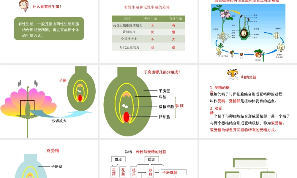 八年级生物下册 8.21.2《植物的有性生殖》（第1课时）课件 苏教版-苏教级下册生物课件