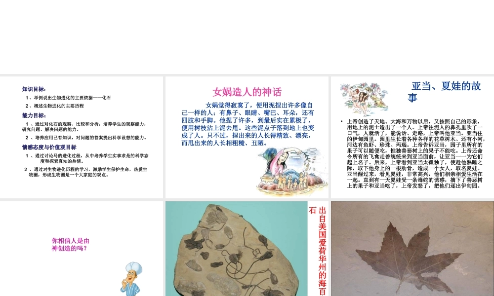 八年级生物下册 7.3.2 第二节 生物进化的历程课件2 （新版）新人教版