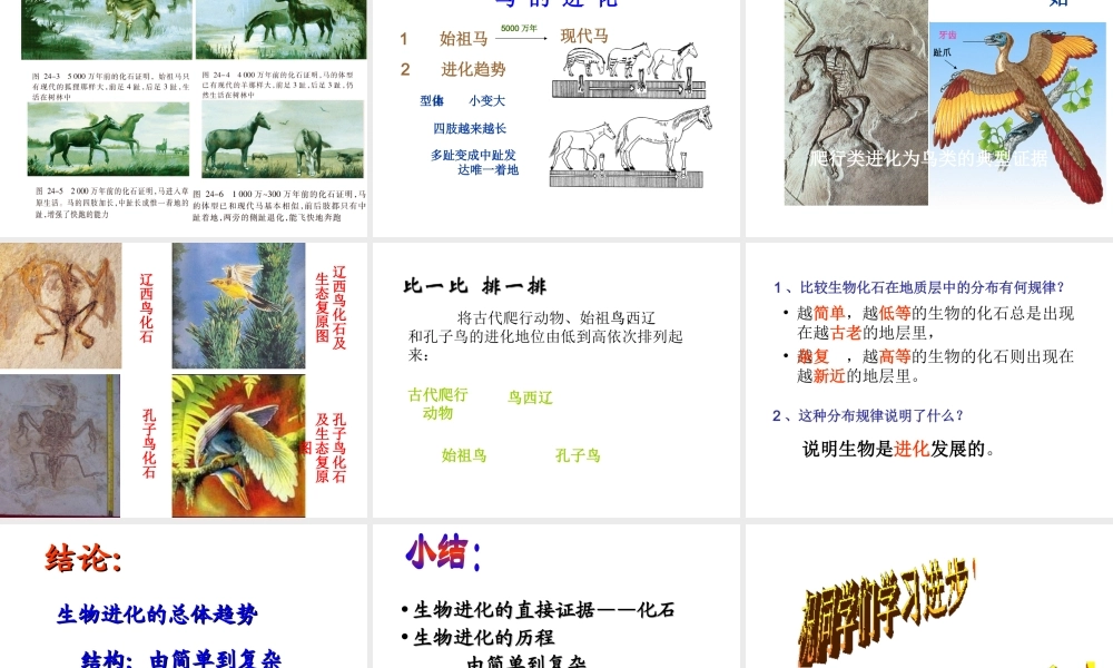 八年级生物下册 7.3.2 第二节 生物进化的历程课件2 （新版）新人教版