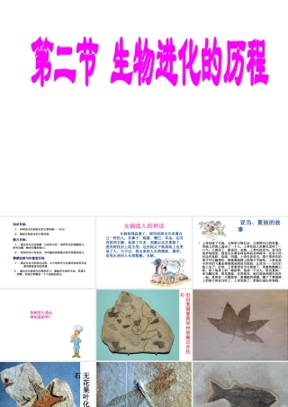 八年级生物下册 7.3.2 第二节 生物进化的历程课件2 （新版）新人教版