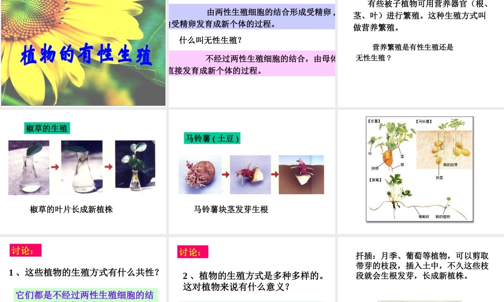 八年级生物下册 7.1.1 植物的生殖参考课件（1）（新版）新人教版-（新版）新人教版初中八年级下册生物课件