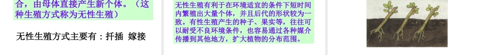 八年级生物下册 7.1.1 植物的生殖参考课件（1）（新版）新人教版-（新版）新人教版初中八年级下册生物课件