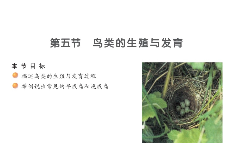 八年级生物下册 21.5 鸟类的生殖和发育课件 （新版）苏教版-（新版）苏教版初中八年级下册生物课件