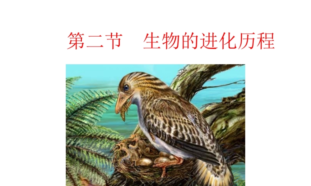 八年级生物下册 7.3.2 第二节 生物进化的历程课件3 （新版）新人教版