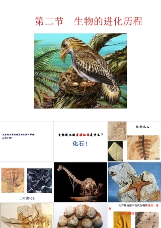 八年级生物下册 7.3.2 第二节 生物进化的历程课件3 （新版）新人教版