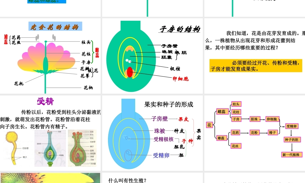 八年级生物下册 7.1.1 植物的生殖参考课件（1）（新版）新人教版-（新版）新人教级下册生物课件