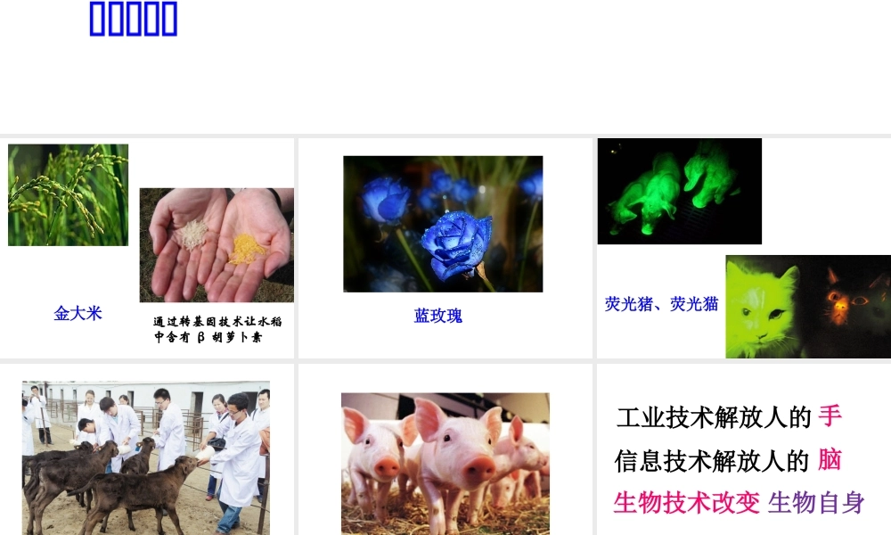 八年级生物下册 24.1 现代生物技术的应用课件 （新版）苏教版-（新版）苏教级下册生物课件
