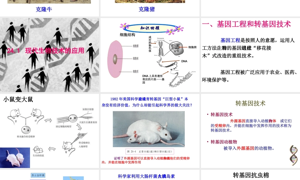 八年级生物下册 24.1 现代生物技术的应用课件 （新版）苏教版-（新版）苏教级下册生物课件