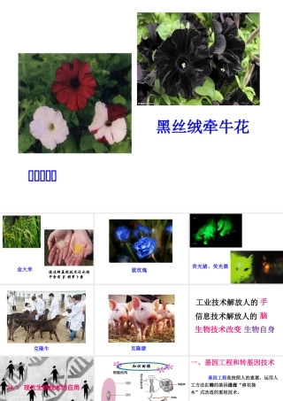 八年级生物下册 24.1 现代生物技术的应用课件 （新版）苏教版-（新版）苏教级下册生物课件