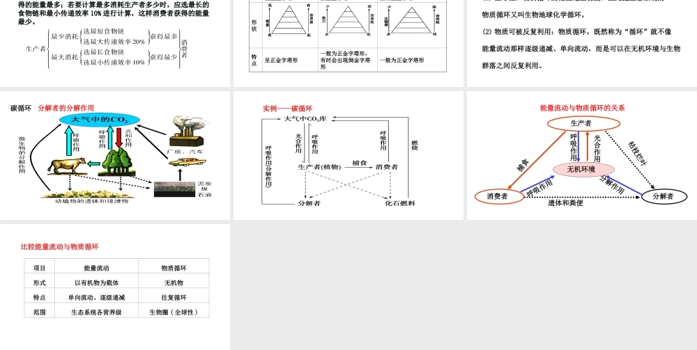 八年级生物下册 7.2.2食物链和食物网教学课件 （新版）冀教版-（新版）冀教级下册生物课件