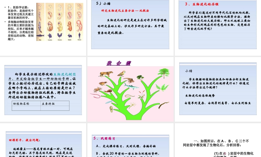 八年级生物下册 7.3.2 第二节 生物进化的历程课件4 （新版）新人教版