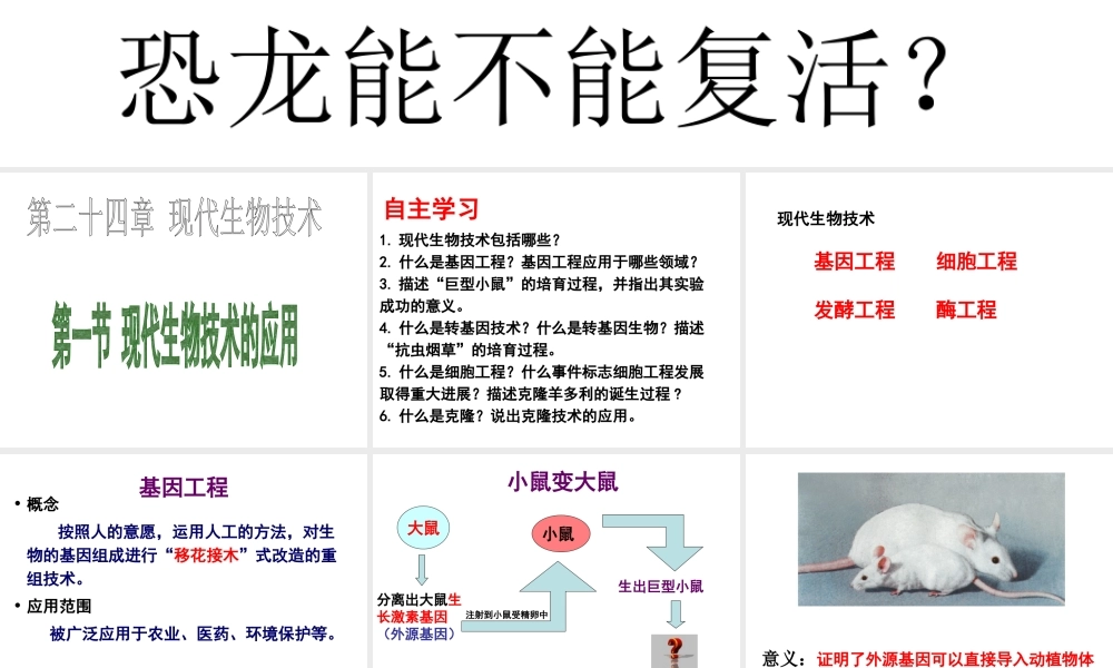八年级生物下册 24.1 现代生物技术的应用课件 苏教版