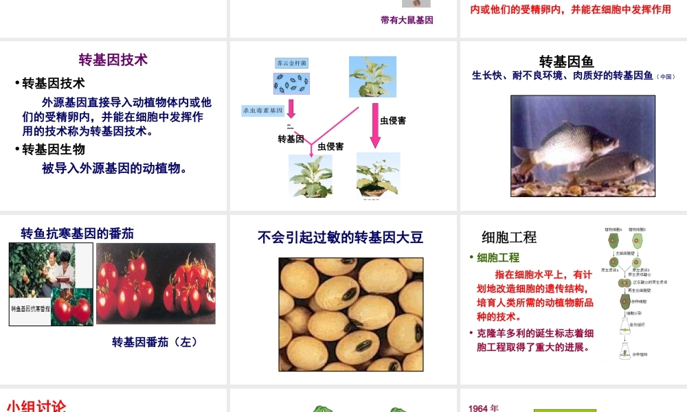 八年级生物下册 24.1 现代生物技术的应用课件 苏教版
