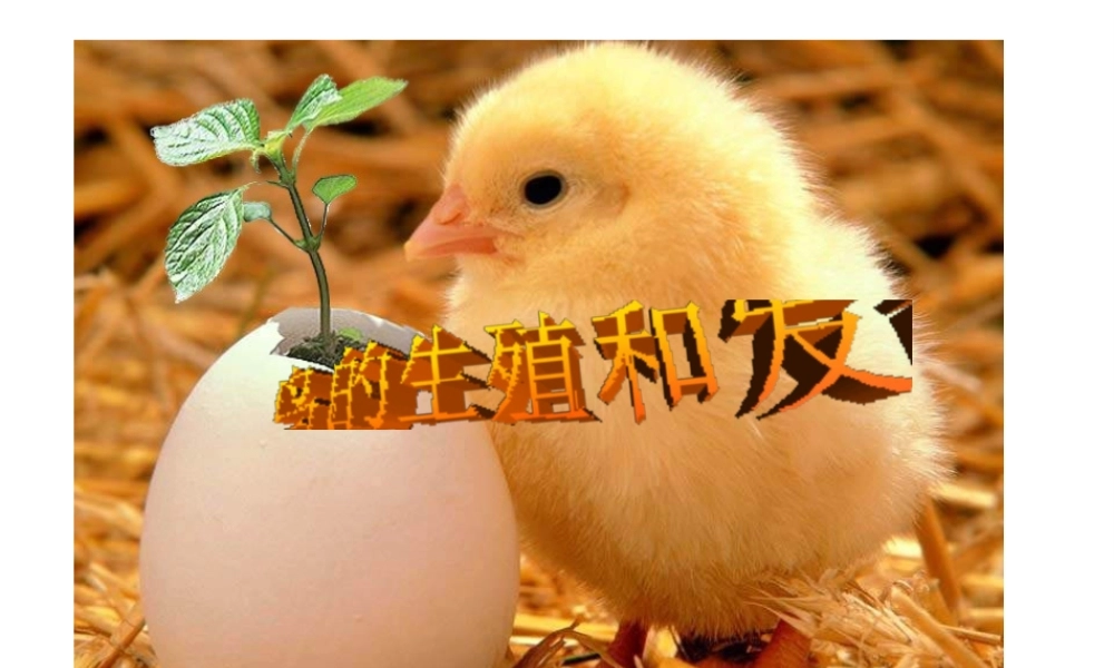 八年级生物下册 7.1.1 植物的生殖参考课件（2）（新版）新人教版-（新版）新人教版初中八年级下册生物课件