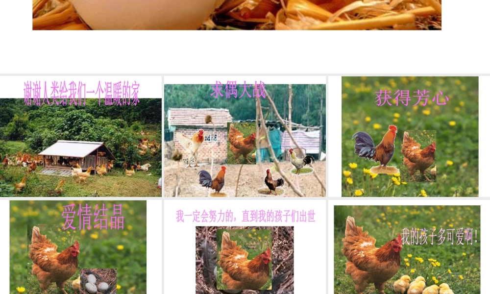 八年级生物下册 7.1.1 植物的生殖参考课件（2）（新版）新人教版-（新版）新人教版初中八年级下册生物课件