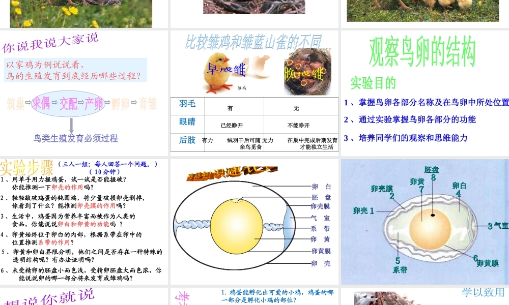 八年级生物下册 7.1.1 植物的生殖参考课件（2）（新版）新人教版-（新版）新人教版初中八年级下册生物课件