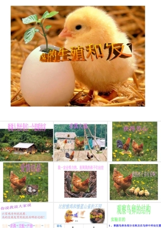 八年级生物下册 7.1.1 植物的生殖参考课件（2）（新版）新人教版-（新版）新人教版初中八年级下册生物课件