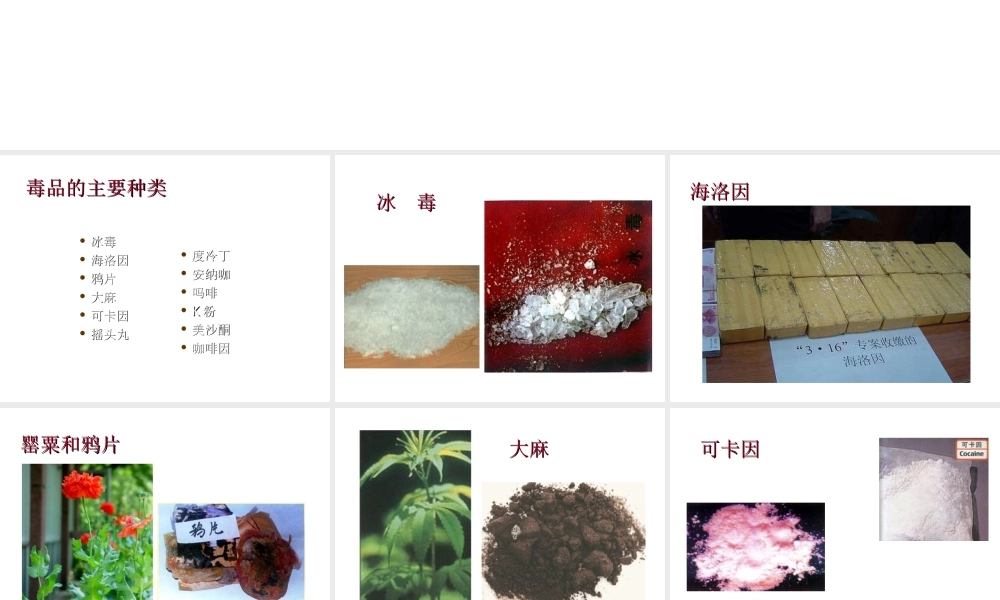 八年级生物下册 24.1《关注自己的健康》课件 苏科版