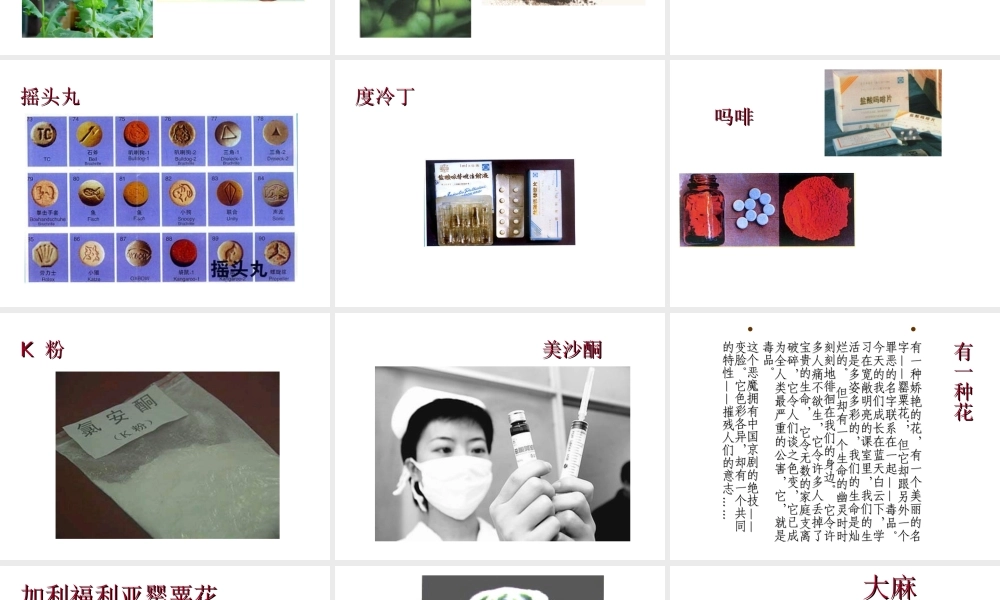 八年级生物下册 24.1《关注自己的健康》课件 苏科版