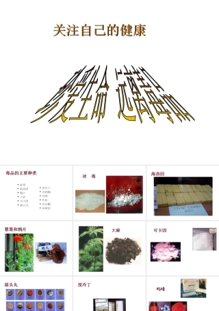 八年级生物下册 24.1《关注自己的健康》课件 苏科版