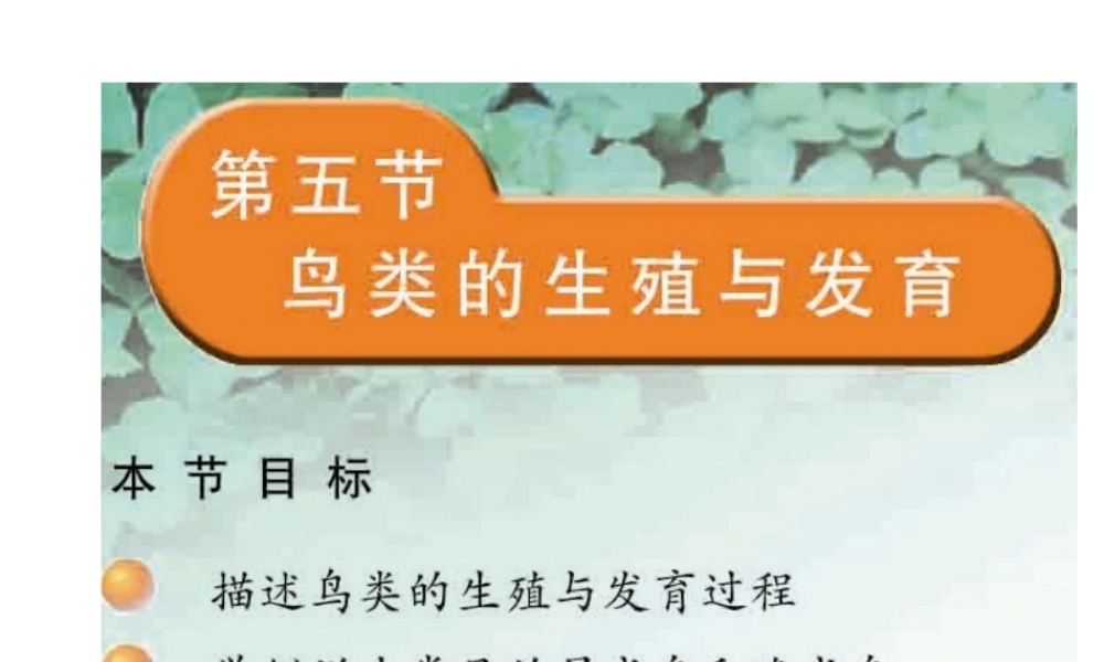 八年级生物下册 21.5 鸟类的生殖与发育课件 （新版）苏教版-（新版）苏教级下册生物课件