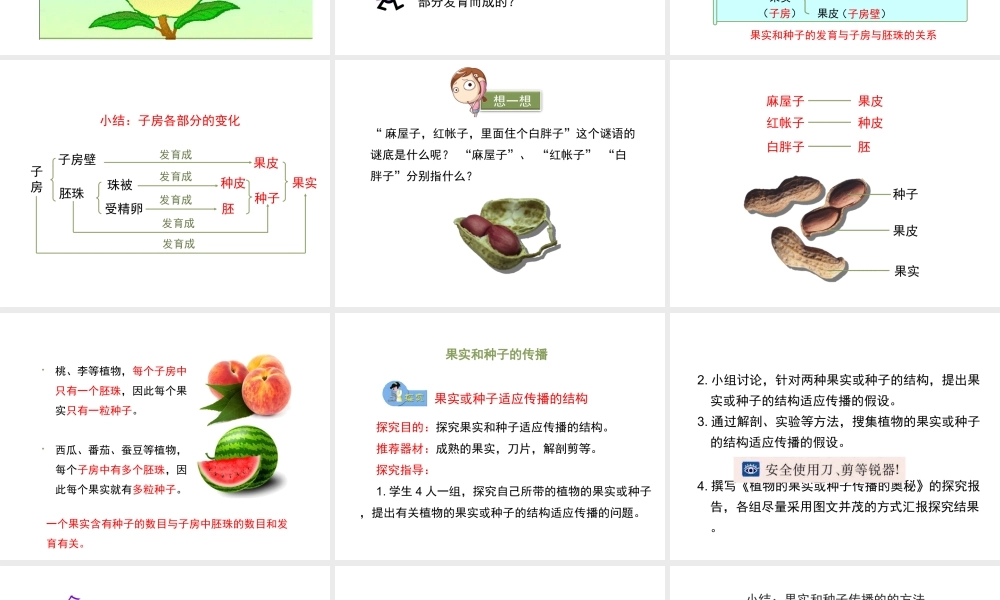 八年级生物下册 8.21.2《植物的有性生殖》（第2课时）课件 苏教版-苏教级下册生物课件