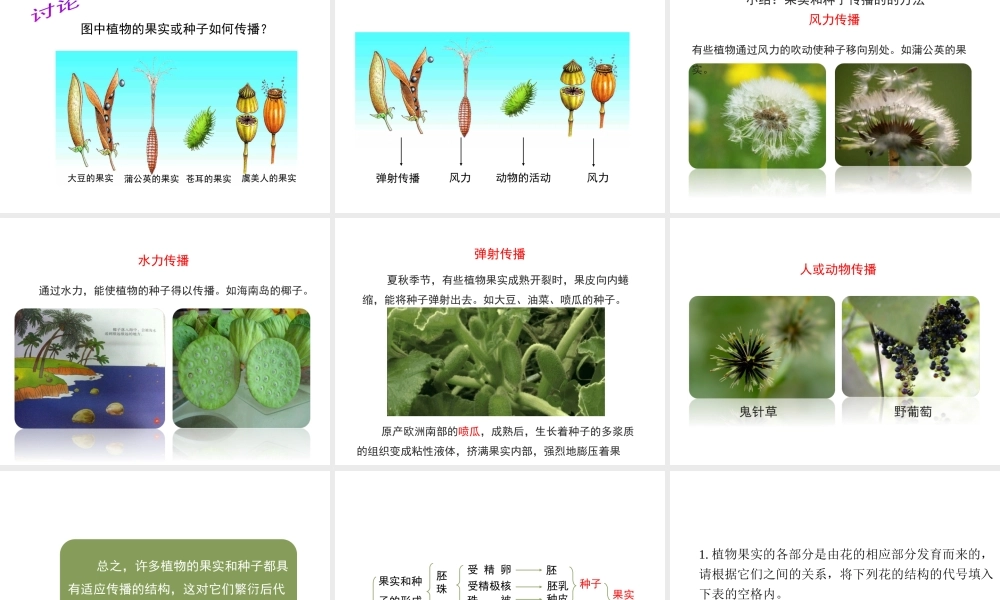 八年级生物下册 8.21.2《植物的有性生殖》（第2课时）课件 苏教版-苏教级下册生物课件